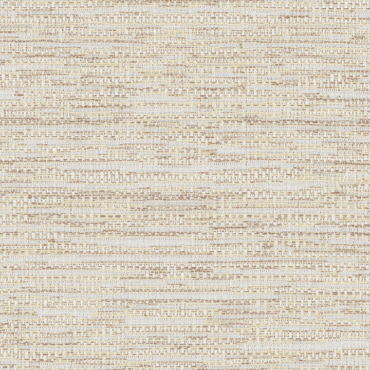 Front Tuck Natural by Carole Designer Fabric Excursion 56% Polyester, 44% Cotton India 22,500 Wyzenbeek Double Rubs Horizontal: 0 and Vertical: 0 55.75 - Swanky Fabrics -