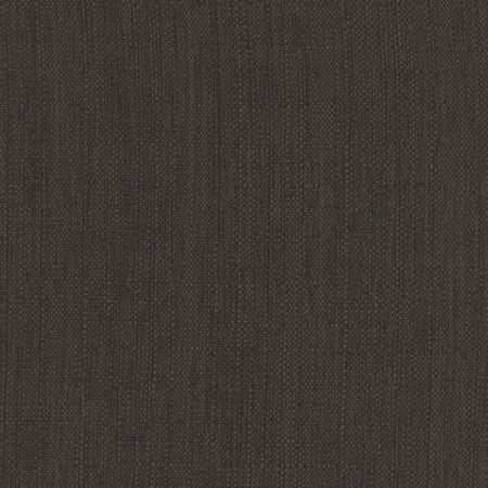 Intention Jet by Carole Designer Fabric Head Start 100% Polyester Taiwan None 54" - Swanky Fabrics -