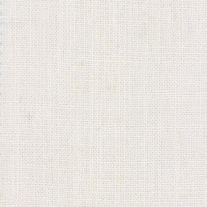 Monitor Cloud by Carole Designer Fabric Sandblasted 95% Polyester, 5% Linen China Passes 15,000 Double Rubs Wyzenbeek Horizontal: 0 and Vertical: 0 55 - Swanky Fabrics -