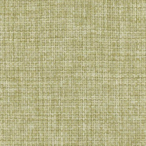 Director's Cut Grass by Carole Designer Fabric