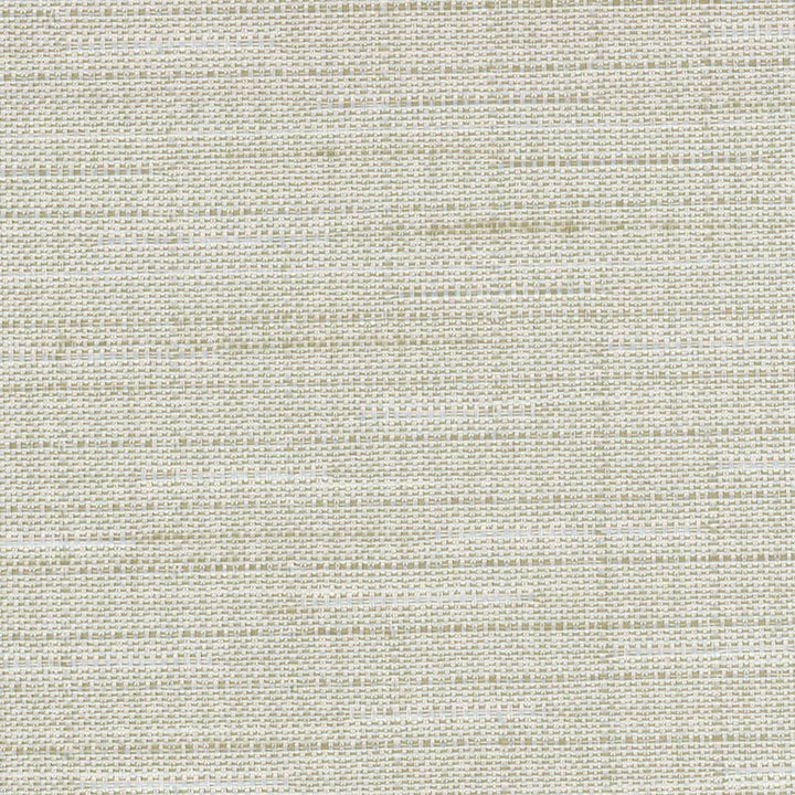 Banksville Linen by Carole Designer Fabric Bigelow 100% Polyester Mexico Passes 18,000 Double Rubs Wyzenbeek Horizontal: 0 and Vertical: 0 54 - Swanky Fabrics -