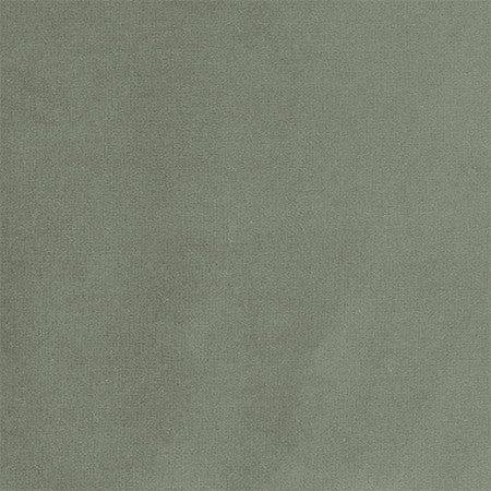<p>Plush Touch Sage by Carole Designer Fabric</p><p><strong>Required Minimum Quantity Purchase: 2 yards</strong></p><p>Book: Warm Embrace</p><p>Content: 100% Polyester-Knit Backing</p><p>Origin: </p><p>Performance: 235,000 Wyzenbeek Double Rubs</p><p>Repeat: None</p><p>Width: 55""</p>