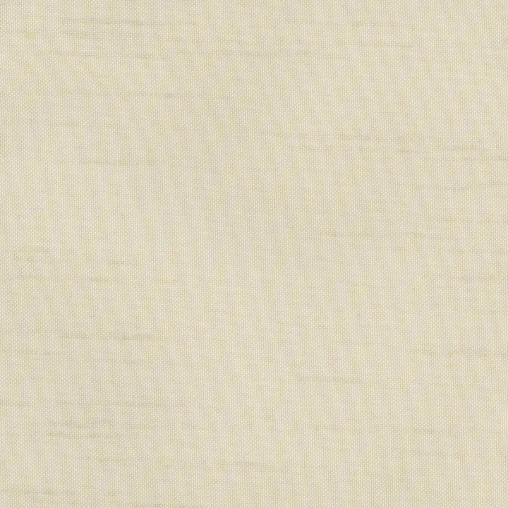 Fleeting Oyster by Carole Designer Fabric Royale 100% Polyester India Passes 50,000 Double Rubs Wyzenbeek Horizontal: 0 and Vertical: 0 54 - Swanky Fabrics -