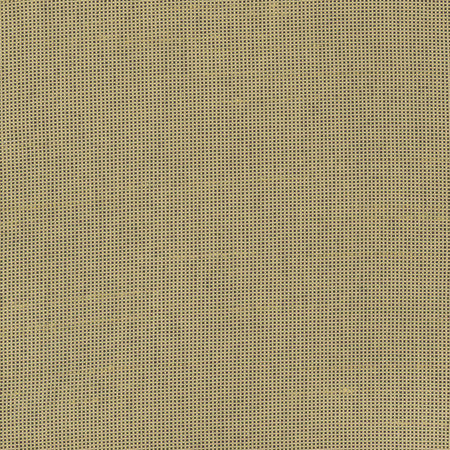 Fleeting Cashew by Carole Designer Fabric Royale 100% Polyester India None 54" - Swanky Fabrics -