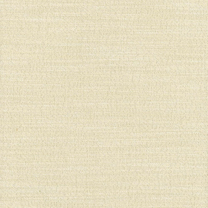 Say Yes Shimmer by Carole Designer Fabric Winner'S Circle 78% Polyester, 22% Viscose India N/A Horizontal: 0 and Vertical: 0 55 - Swanky Fabrics -