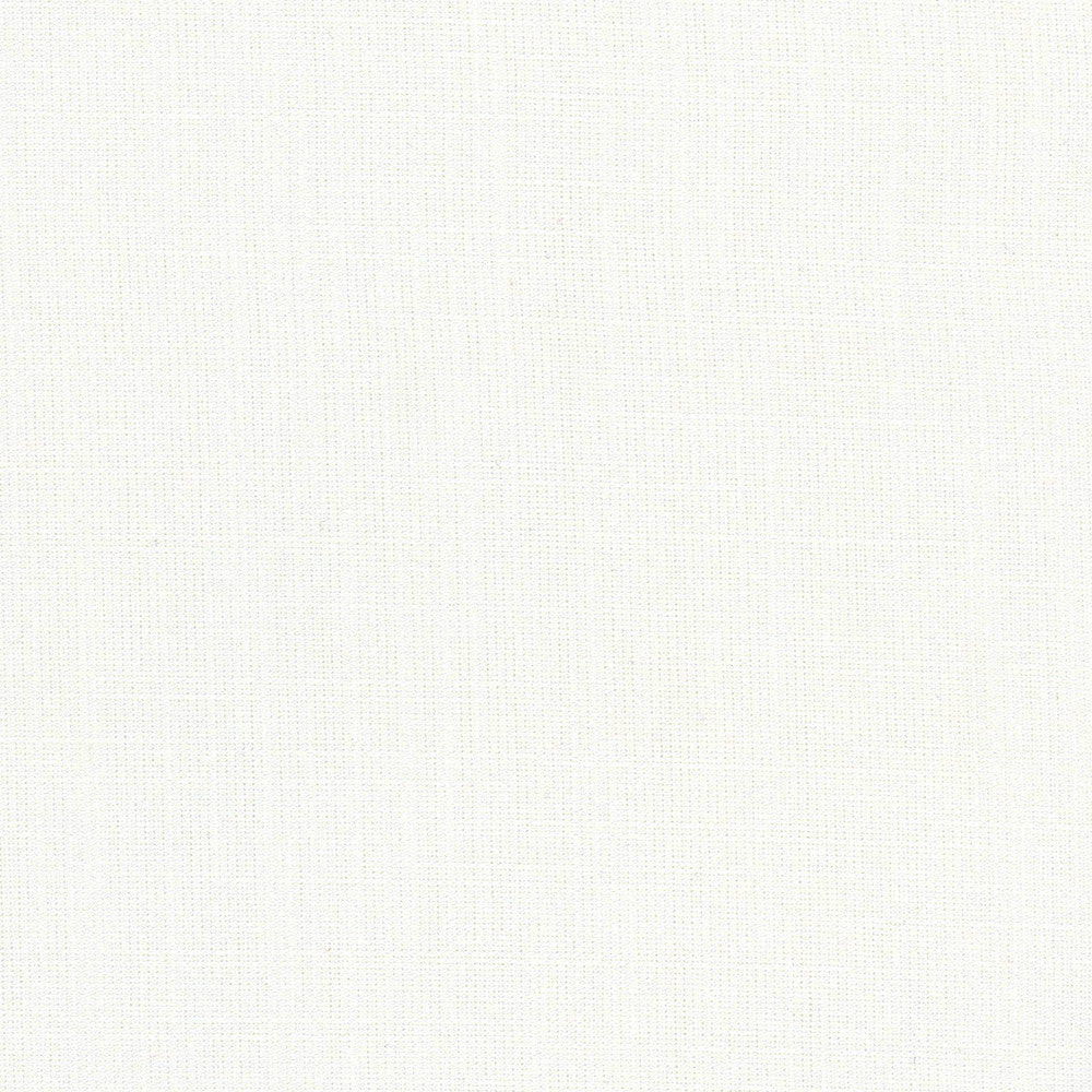 Aerial White by Carole Designer Fabric Opal 100% Polyester India Passes 50,000 Double Rubs Wyzenbeek Horizontal: 0 and Vertical: 0 56 - Swanky Fabrics -