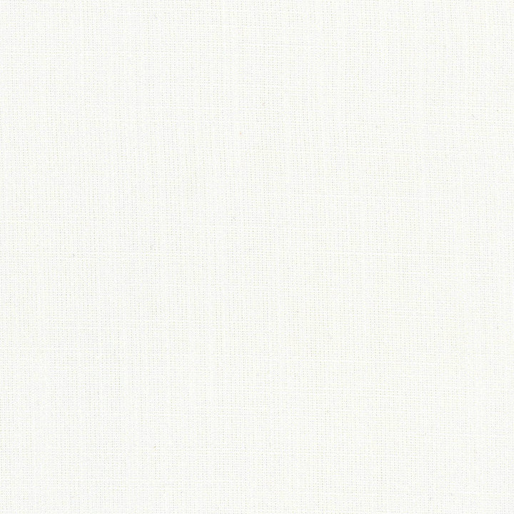 Aerial White by Carole Designer Fabric Opal 100% Polyester India Passes 50,000 Double Rubs Wyzenbeek Horizontal: 0 and Vertical: 0 56 - Swanky Fabrics -