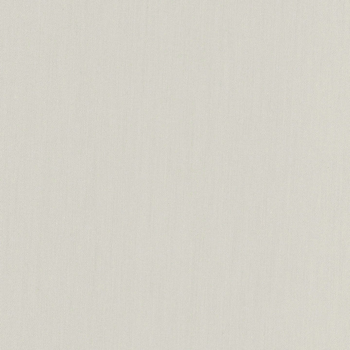 Comfort Cement by Carole Designer Fabric Daydreaming 100% Cotton India Passes 21,000 Double Rubs Wyzenbeek Horizontal: 0 and Vertical: 0 54 - Swanky Fabrics -