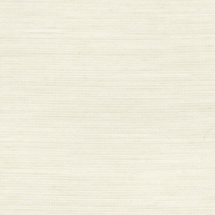 Just So Vanilla by Carole Designer Fabric Sheer Structure 100% Polyester Turkey N/A Horizontal: 0 and Vertical: 0 118 - Swanky Fabrics -