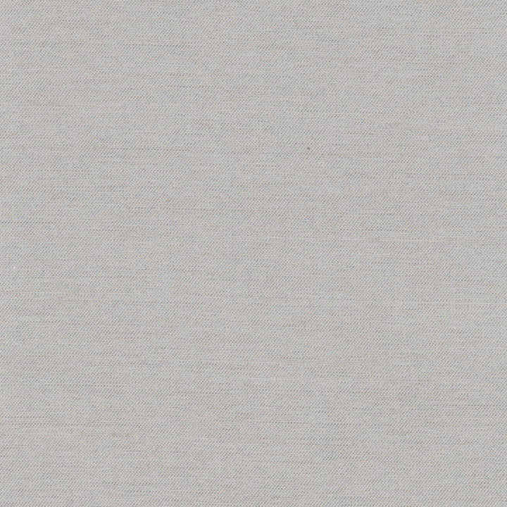 Northwind Dove by Carole Designer Fabric New Northwind Iv 100% Polyester India Passes 9,000 Double Rubs Wyzenbeek Horizontal: 0 and Vertical: 0 54 - Swanky Fabrics -