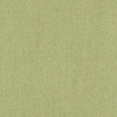 Freshman Aloe by Carole Designer Fabric Laguna 100% Polyester INDIA 100,000 Wyzenbeek Double Rubs None 54" - Swanky Fabrics -