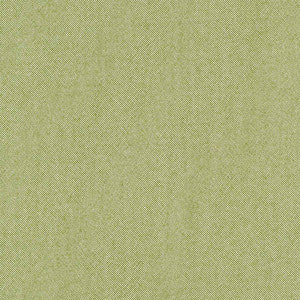 Freshman Aloe by Carole Designer Fabric