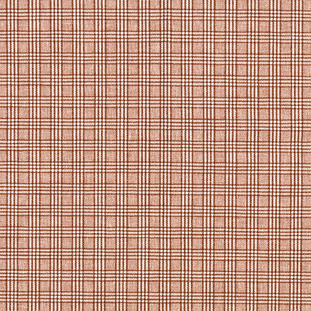 Newsworthy Rust by Carole Designer Fabric Well Suited 51% Polyester, 49% Cotton 60,000 Wyzenbeek Double Rubs 1 1/8" V, 1 1/8" H 55" - Swanky Fabrics -