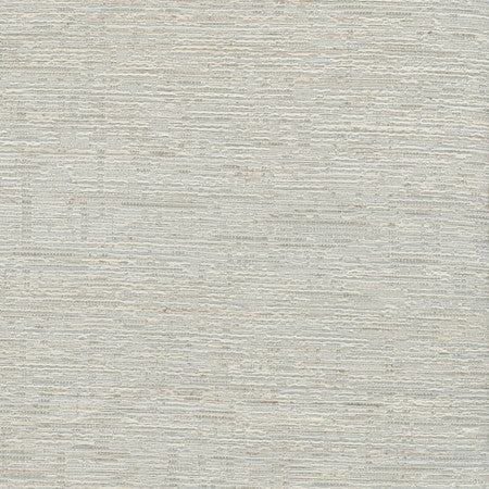 Greater Good Platinum by Carole Designer Fabric Alliance 76% Polyester, 14% Cotton, 5% Rayon, 5% Linen India 30,000 Wyzenbeek Double Rubs None 55 1/2"" - Swanky Fabrics -