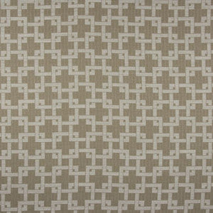 Field Guide Straw by Carole Designer Fabric