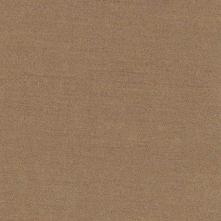 Northwind Earth by Carole Designer Fabric New Northwind Iii,New Northwind IV 100% Polyester INDIA Passes 9,000 Double Rubs Wyzenbeek Horizontal: None and Vertical: None 54" - Swanky Fabrics -