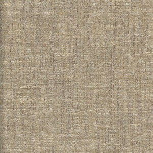 Pop Fly Beige by Carole Designer Fabric