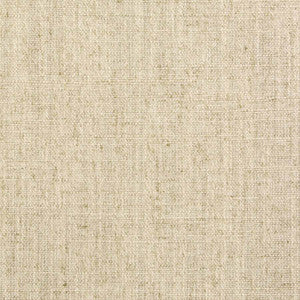 Critic Linen by Carole Designer Fabric