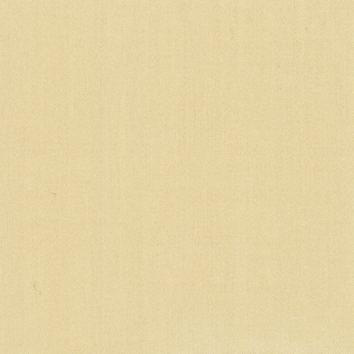 Tempt Straw by Carole Designer Fabric Royale 100% IFR Polyester India Passes 45,000 Double Rubs Wyzenbeek Horizontal: 0 and Vertical: 0 54 - Swanky Fabrics -