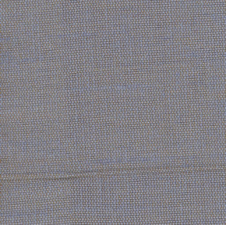 Succulent Celestial by Carole Designer Fabric Succulent II 100% Polyester India N/A None 54" - Swanky Fabrics -