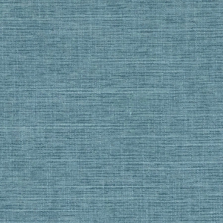 Big Thinker Lake by Carole Designer Fabric Power Play 100% Polyester N/A None 55" - Swanky Fabrics -