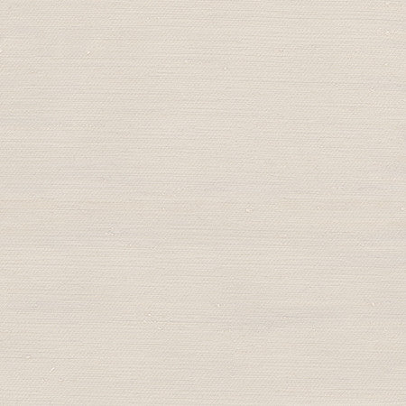 Rumi Oyster by Carole Designer Fabric Gala 100% Polyester India None 54" - Swanky Fabrics -