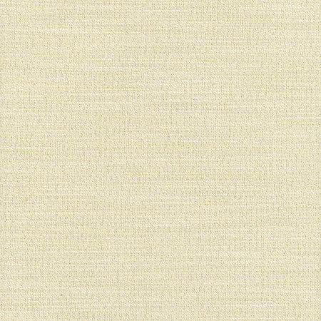 Say Yes Shimmer by Carole Designer Fabric WINNER'S CIRCLE 78% Polyester, 22% Viscose India N/A </p><p>Repeat: None 55" - Swanky Fabrics -