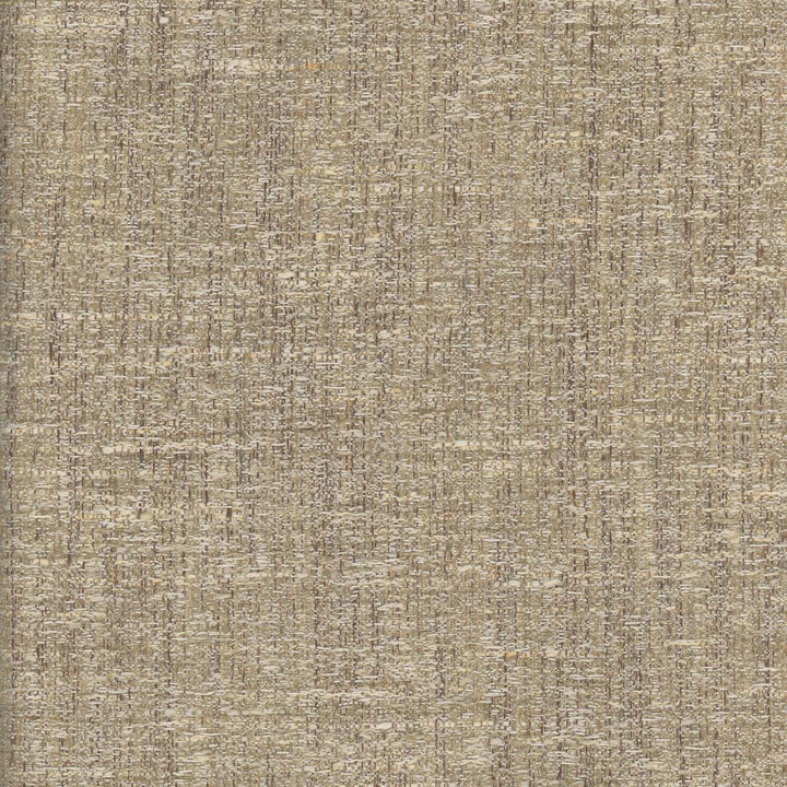 Pop Fly Beige by Carole Designer Fabric Texture Theory 100% Polyester India N/A Horizontal: 0 and Vertical: 0 57 - Swanky Fabrics -