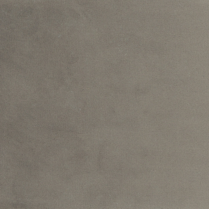 Plush Touch Charcoal by Carole Designer Fabric Touch Of Luxury 100% Polyester Knit Backing China 235,000 Wyzenbeek Double Rubs Horizontal: 0 and Vertical: 0 55 - Swanky Fabrics -