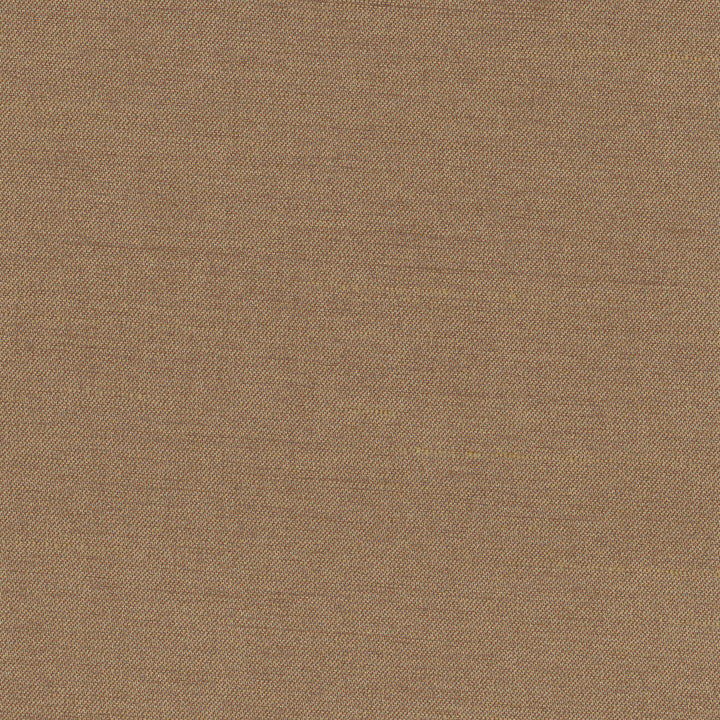 Northwind Earth by Carole Designer Fabric New Northwind Iv 100% Polyester India Passes 9,000 Double Rubs Wyzenbeek Horizontal: 0 and Vertical: 0 54 - Swanky Fabrics -