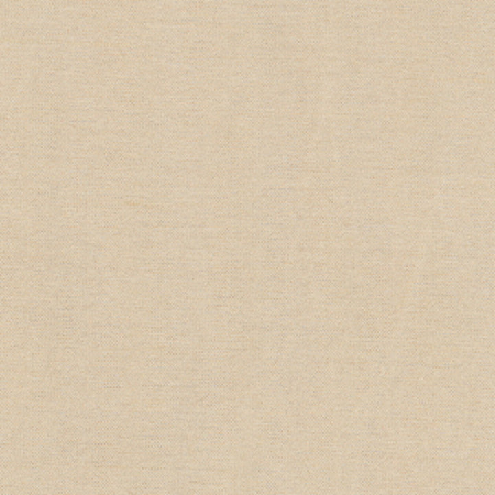 Northwind Pebble by Carole Designer Fabric New Northwind Iv 100% Polyester India Passes 9,000 Double Rubs Wyzenbeek Horizontal: 0 and Vertical: 0 54 - Swanky Fabrics -