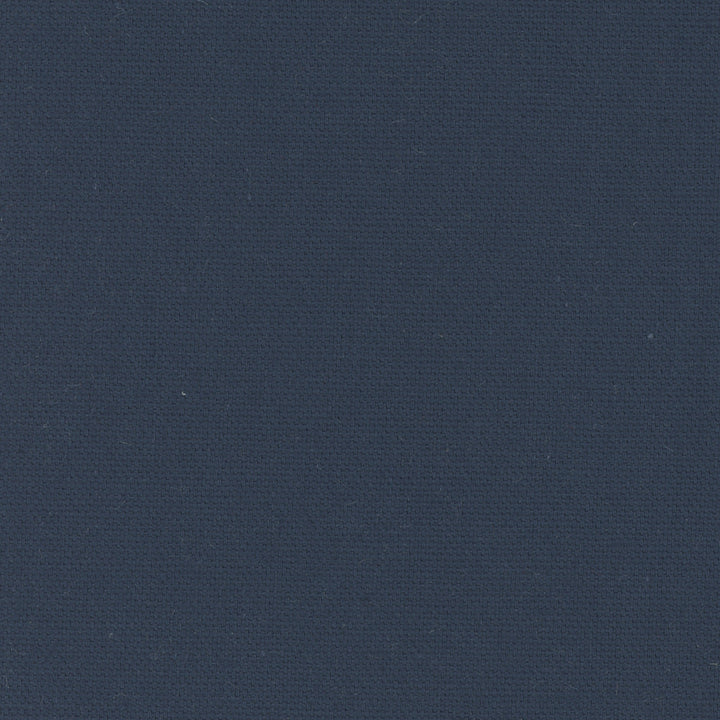 Daydreamer Navy by Carole Designer Fabric Daydreaming 100% Cotton- Soil Release USA Passes 30,000 Double Rubs Wyzenbeek Horizontal: 0 and Vertical: 0 54 - Swanky Fabrics -