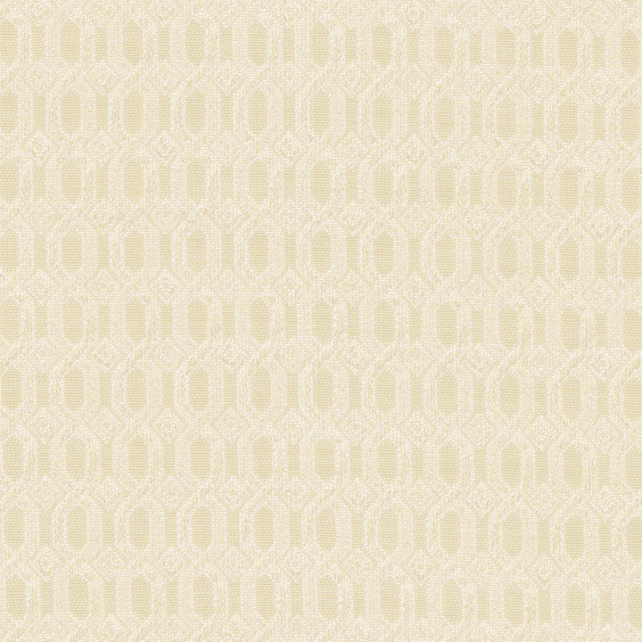 Chain Link French Vanilla by Carole Designer Fabric Pink Jade 67% Polyester, 33% Cotton India 50,000 Wyzenbeek Double Rubs Horizontal: 0.75 and Vertical: 0.75 56 - Swanky Fabrics -