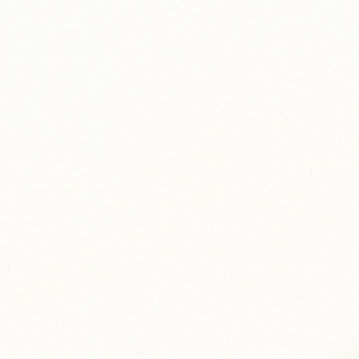 More Time White by Carole Designer Fabric Opal 100% Cotton China N/A Horizontal: 0 and Vertical: 0 555 - Swanky Fabrics -