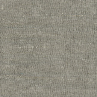 Lydia Cement by Carole Designer Fabric Lydia,Lydia II 100% Polyester Fr India N/A </p><p>Repeat: None 54" - Swanky Fabrics -