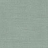 Distinct II Spa Blue by Carole Designer Fabric