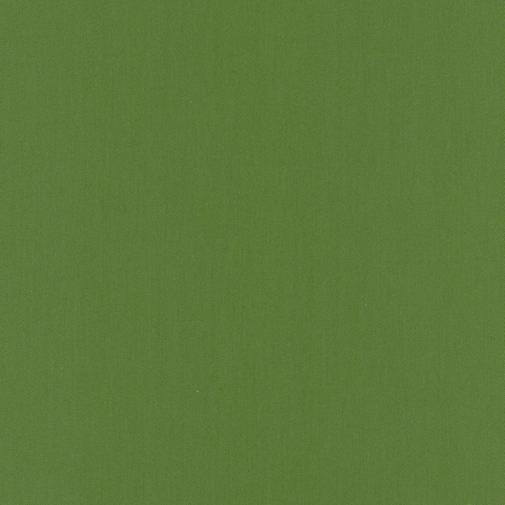 Comfort Kelly by Carole Designer Fabric Daydreaming 100% Cotton India Passes 21,000 Double Rubs Wyzenbeek Horizontal: 0 and Vertical: 0 54 - Swanky Fabrics -