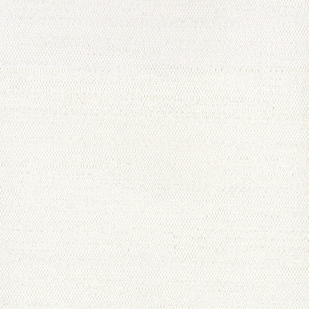 Aiden Off White by Carole Designer Fabric Aiden Gallery,Opal 100% Polyester INDIA PASSES 30,000 DOUBLE RUBS WYZENBEEK </p><p>Repeat: None 56" - Swanky Fabrics -