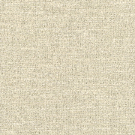 Say Yes Glint by Carole Designer Fabric WINNER'S CIRCLE 78% Polyester, 22% Viscose India N/A Horizontal: None and Vertical: None 55" - Swanky Fabrics -
