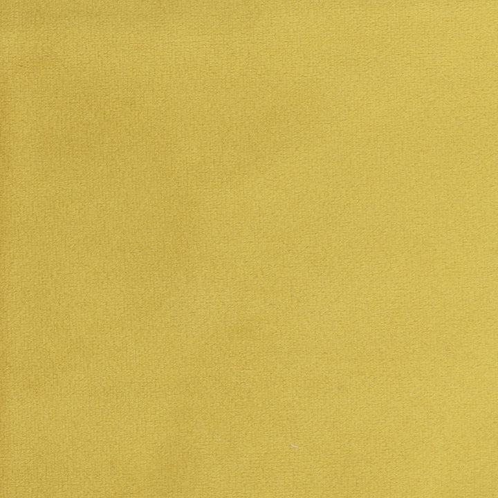 Plush Touch Brass by Carole Designer Fabric Touch Of Luxury 100% Polyester Knit Backing China 235,000 Wyzenbeek Double Rubs Horizontal: 0 and Vertical: 0 55 - Swanky Fabrics -