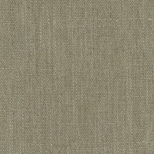 Resolve Lentil by Carole Designer Fabric