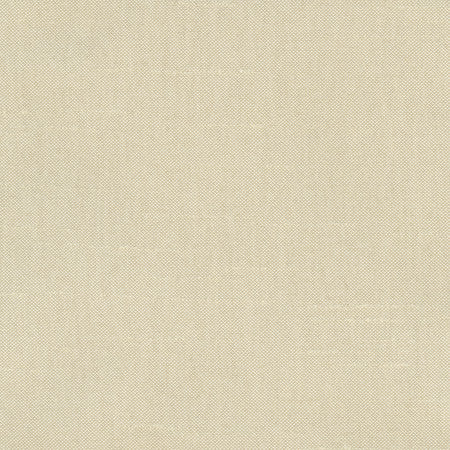 Fleeting Plantain by Carole Designer Fabric Royale 100% Polyester India Passes 50,000 Double Rubs Wyzenbeek None 54" - Swanky Fabrics -
