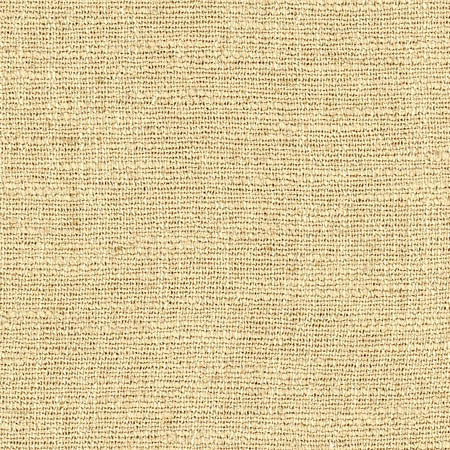 Warden Cornhusk by Carole Designer Fabric Sunbaked 90% Polyester, 10% Linen CHINA None 55" - Swanky Fabrics -