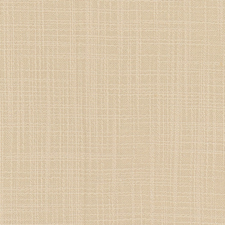 Lets Be Real Cream by Carole Designer Fabric See It Through 100% Recycled Polyester India 50,000 Wyzenbeek Double Rubs None 54" - Swanky Fabrics -