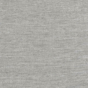 Training Day Slate by Carole Designer Fabric