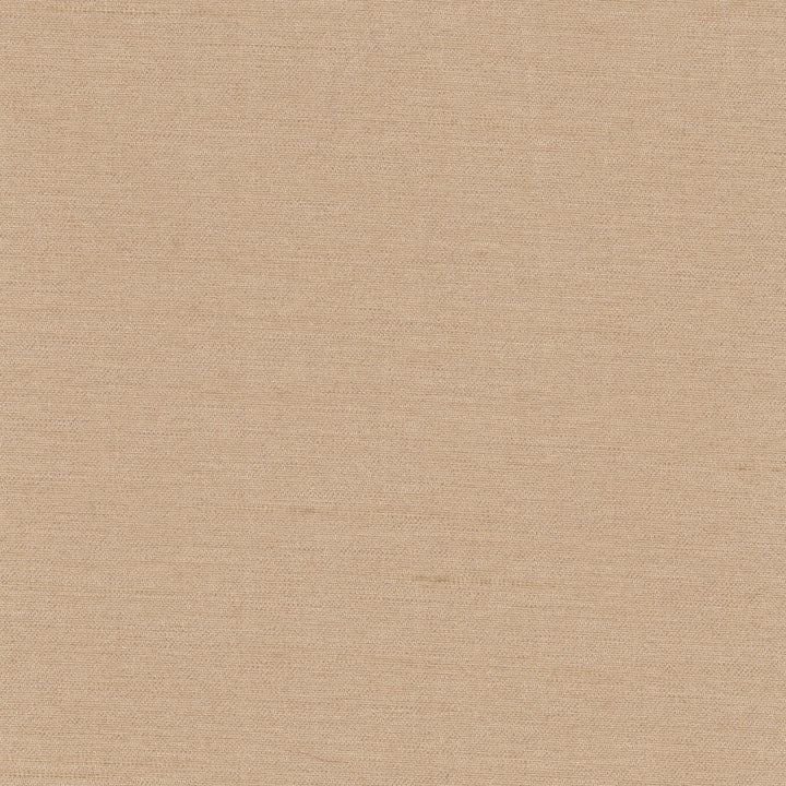 Northwind Almond by Carole Designer Fabric New Northwind Iv 100% Polyester India Passes 9,000 Double Rubs Wyzenbeek Horizontal: 0 and Vertical: 0 54 - Swanky Fabrics -