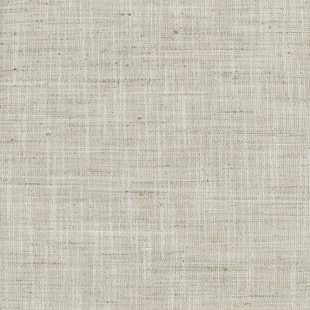 There For You Flax by Carole Designer Fabric Alliance 100% Polyester India None 55"" - Swanky Fabrics -