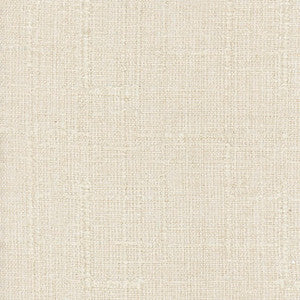 Plush Textures Champagne by Carole Designer Fabric