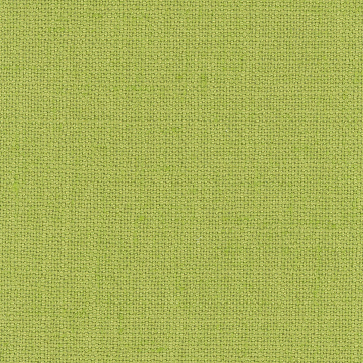 Defense Aloe by Carole Designer Fabric Celadon 95% Polyester, 5% Linen China Passes 110,000 Double Rubs Wyzenbeek Horizontal: 0 and Vertical: 0 57 - Swanky Fabrics -