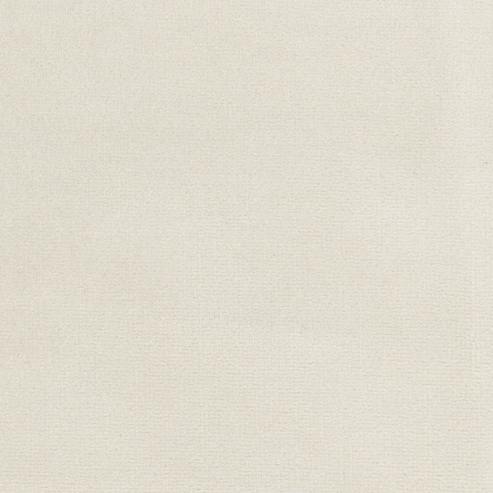 Plush Touch Oyster by Carole Designer Fabric Touch Of Luxury 100% Polyester Knit Backing China 235,000 Wyzenbeek Double Rubs Horizontal: 0 and Vertical: 0 55 - Swanky Fabrics -